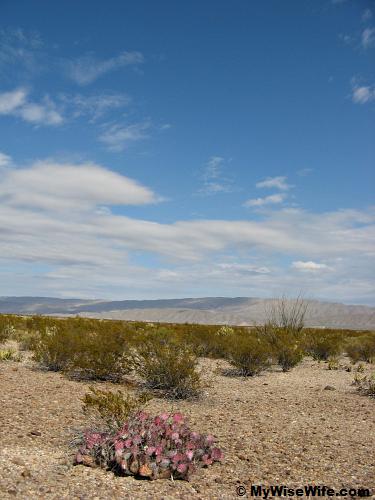 Colors of the desert land Colors of the desert land