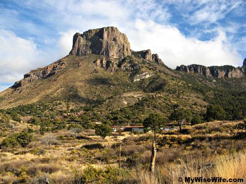 Lush vegetation in Chisos Basin Lush vegetation in Chisos Basin