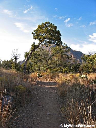 Basin Loop Trail Basin Loop Trail