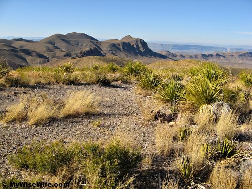 The vista of Trap Mountain (left peak), Goat Mountain (center peak) and Santa Elena Canyon (right) The vista of Trap Mountain (left peak), Goat Mountain (center peak) and Santa Elena Canyon (right)