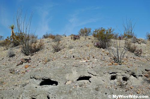 'Bocas' or Little mouth on Tuff Canyon walls