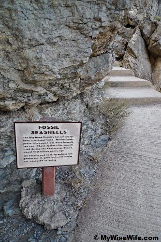 Archelogical proof - Big Bend is never always a desert Archelogical proof - Big Bend is never always a desert