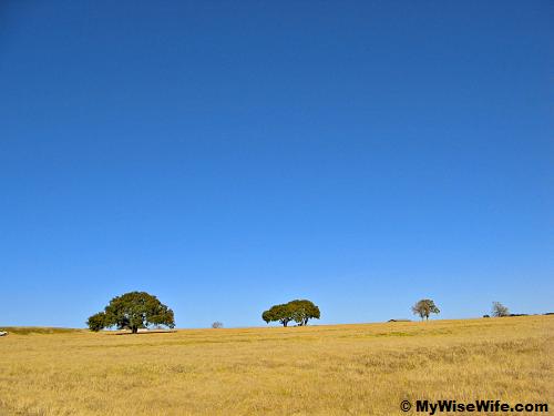 LBJ Ranch - Experience the vastness LBJ Ranch - Experience the vastness
