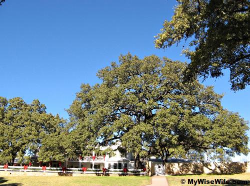 Texas White House - near Stonewall
