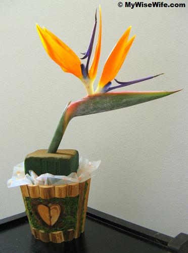 Bird of Paradise as focal flower Bird of Paradise as focal flower