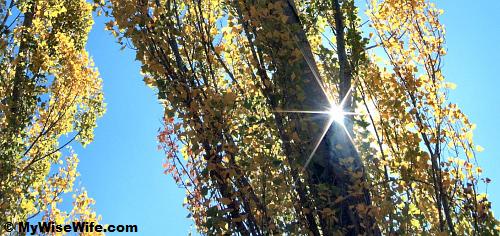 Sunshine Sunshine