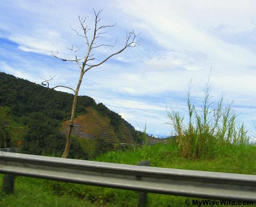 Beautiful nature welcomes us! Beautiful nature welcomes us!