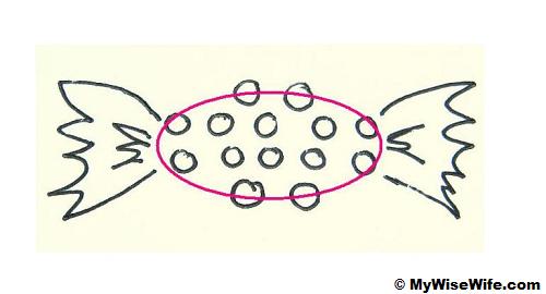 Top view - an oval shape Top view - an oval shape