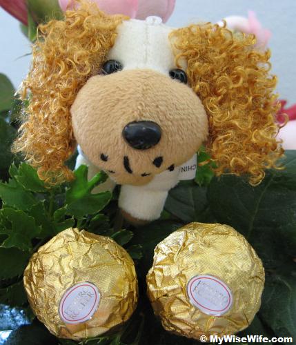 A cute doggie and lovely chocolates