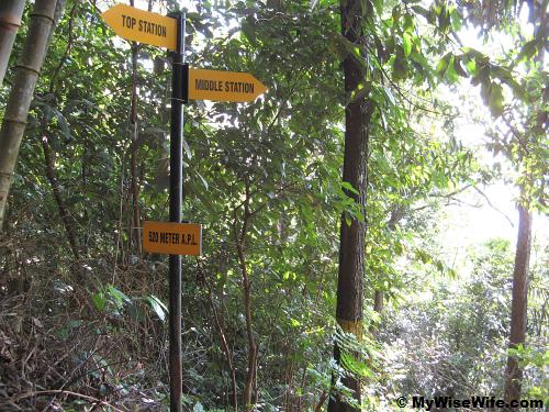 11 - Arrive at 520 A.P.L. next to rest hut
