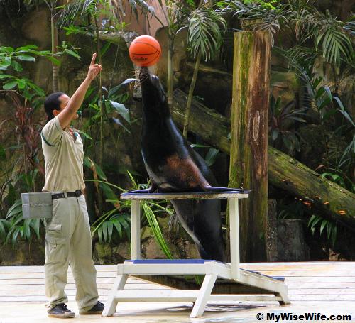 Bart is balancing a basketball