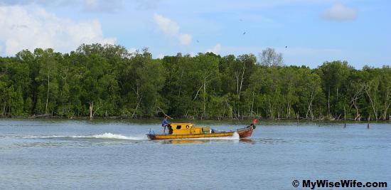 Boating and Bird Watching at Kuala Gula Boating and Bird Watching at Kuala Gula