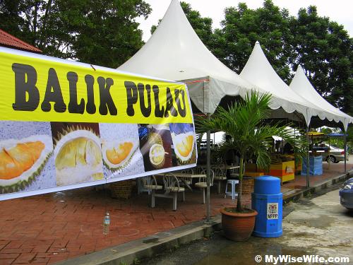 It is now the durian season! It is now the durian season!