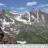 Torreys and Grays