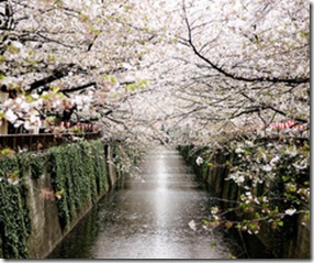 4587439945_3a2903585d_z_thumb