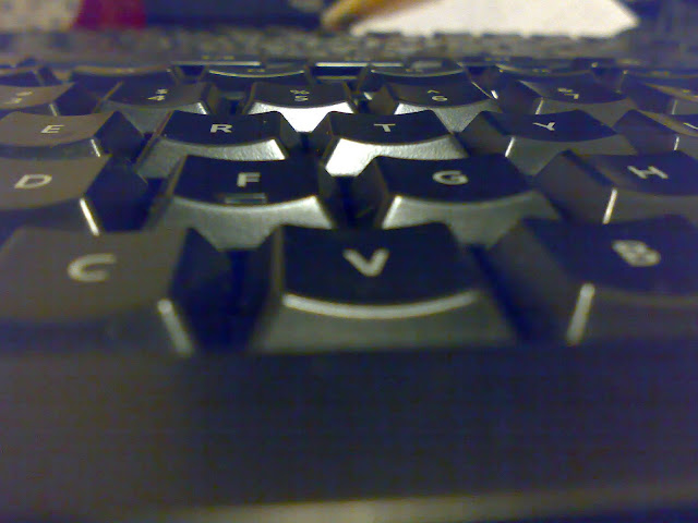 20100913608.jpg