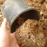 Repotting a container. Soil becomes bad through time.