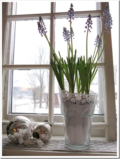 IMG_7363 IMG_7363