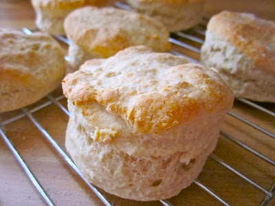 Basic Biscuits