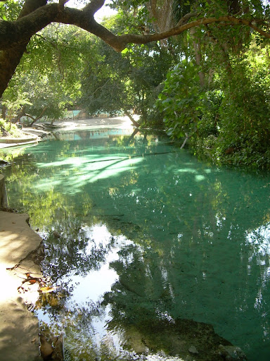 Yankari National Park