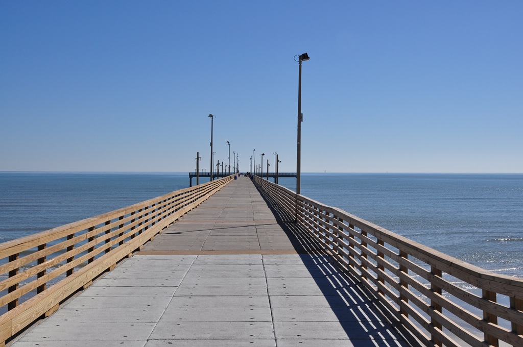 [DSC_0393[4].jpg]