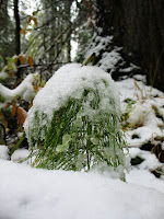 IMG_7427.JPG Photo