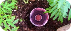 re-purposing plastic water bottles