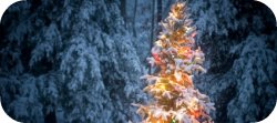 Thumbnail image for Merry Christmas