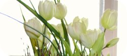 Spring to Fall Decorations