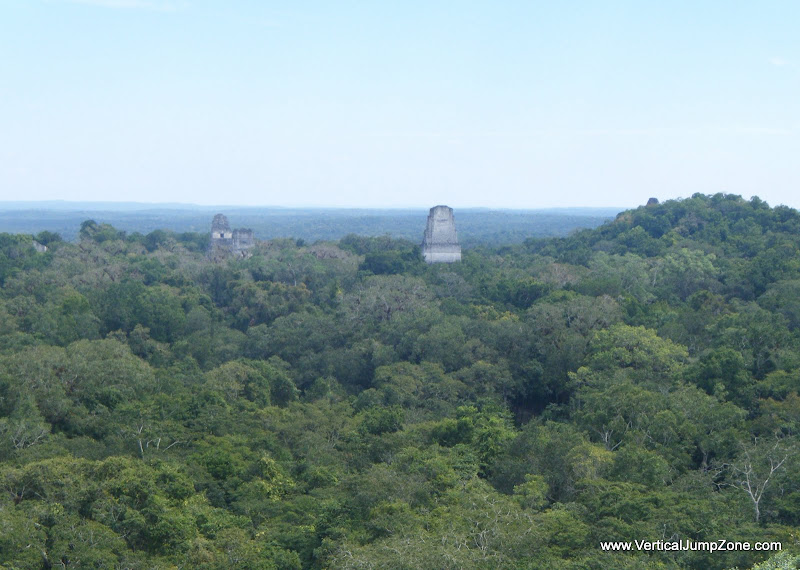 Bird's eye view of Tikal