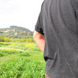 peli di cane dalla macchina alla maglia