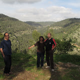 valle con pini