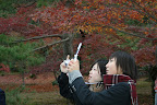 JAPAN%2007%20005