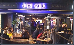 bog_night