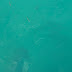DSC_1355.jpg