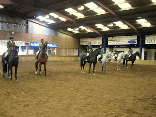 Restricted Novice Working Hunter line-up