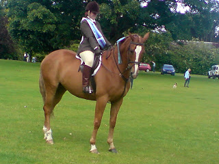 Oh Cookie what a clever boy Mum Caroline is so pleased.  Winners of the Novice Working Hunter.