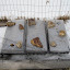 plantingOaks's Wintersowing garden