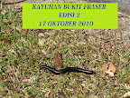 Kayuhan Bukit Fraser Edisi 2 Slideshow
