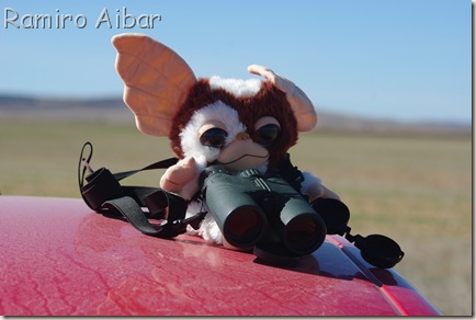 14 cuando yo como Gizmo vigila