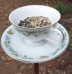 [teacup birdfeeder ehow[7].jpg]