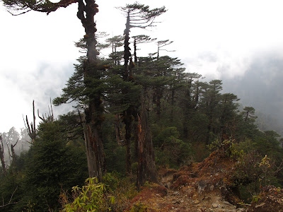 coming off mountain