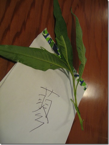 IMG_6405 IMG_6405