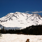 Mount Shasta from Bunny Flat