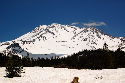 Mount Shasta from Bunny Flat