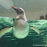 Melbourne Aquarium