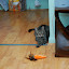 DSC_0115.JPG