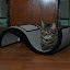 DSC_0042.JPG