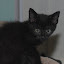 DSC_0868.JPG
