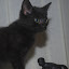 DSC_0888.JPG